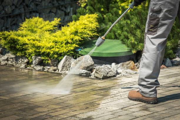 Best Driveway Pressure Washing  in Twin Rivers, NJ
